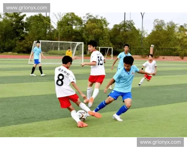 绿茵逐梦,青春无畏:世青赛南非与日本的绿茵对决,一场关于速度、智慧与荣耀的碰撞